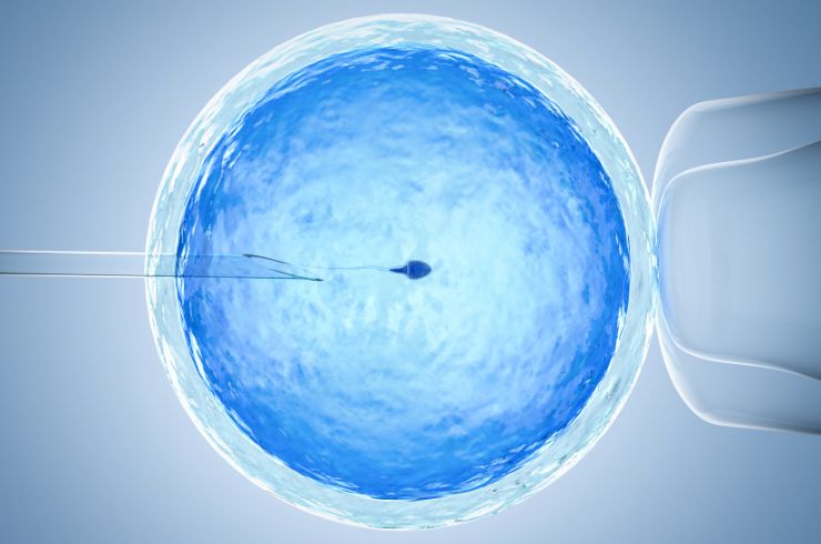 Gayatri IVF