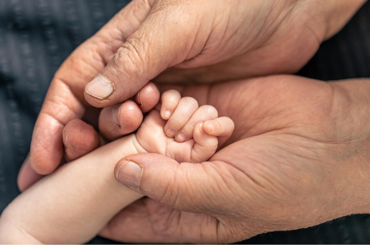 Gayatri Maternity About us