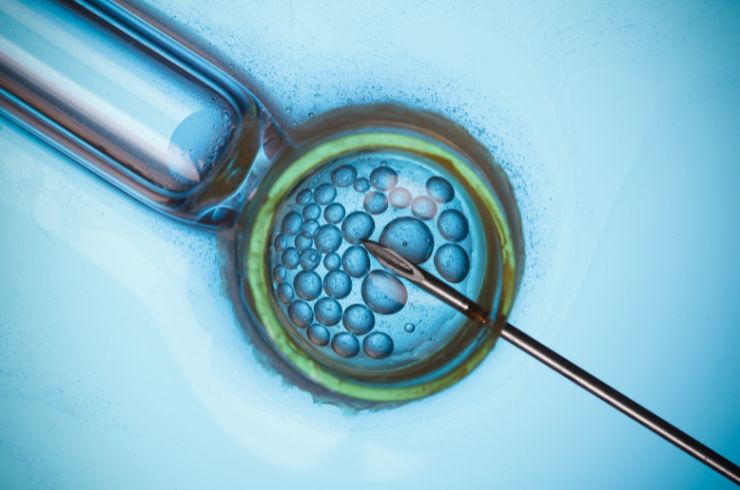 Gayatri IVF