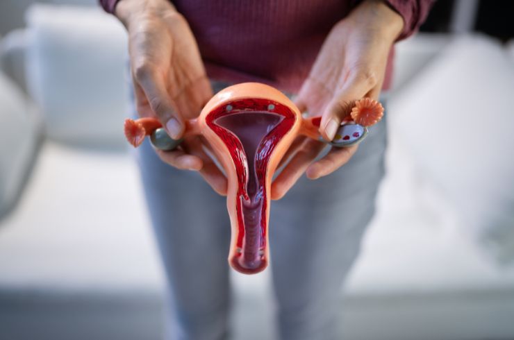 Gayatri IVF