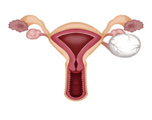 Gayatri IVF